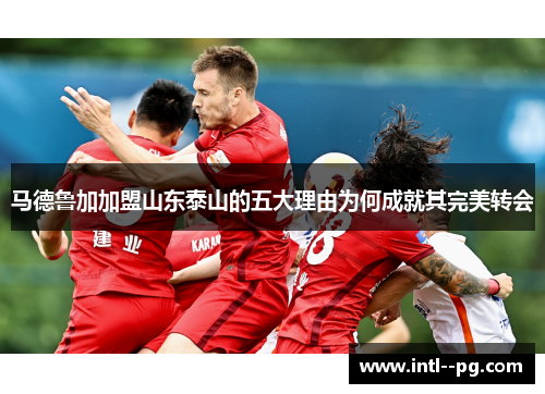 马德鲁加加盟山东泰山的五大理由为何成就其完美转会 马德鲁加加盟山东泰山的五大理由为何成就其完美转会